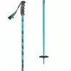 Scott Punisher Ski Poles