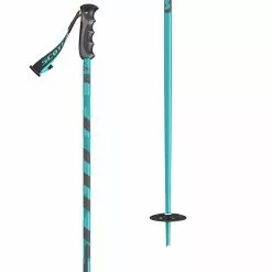 Scott Punisher Ski Poles