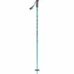 Scott Punisher Ski Poles -Scott Shop BL D2