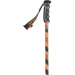 Scott Punisher Ski Poles -Scott Shop OR D1
