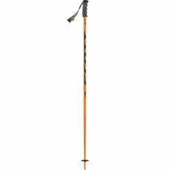 Scott Punisher Ski Poles -Scott Shop OR D2